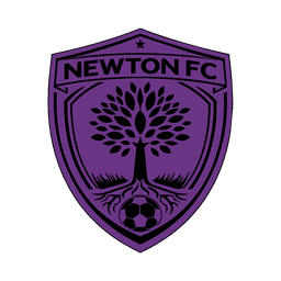 logo Licei Paritari Isaac Newton