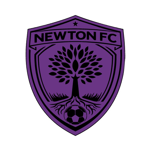 Licei Paritari Isaac Newton