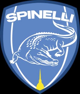 logo Spinelli