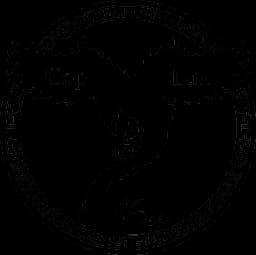 logo Copernico-Louxembourg