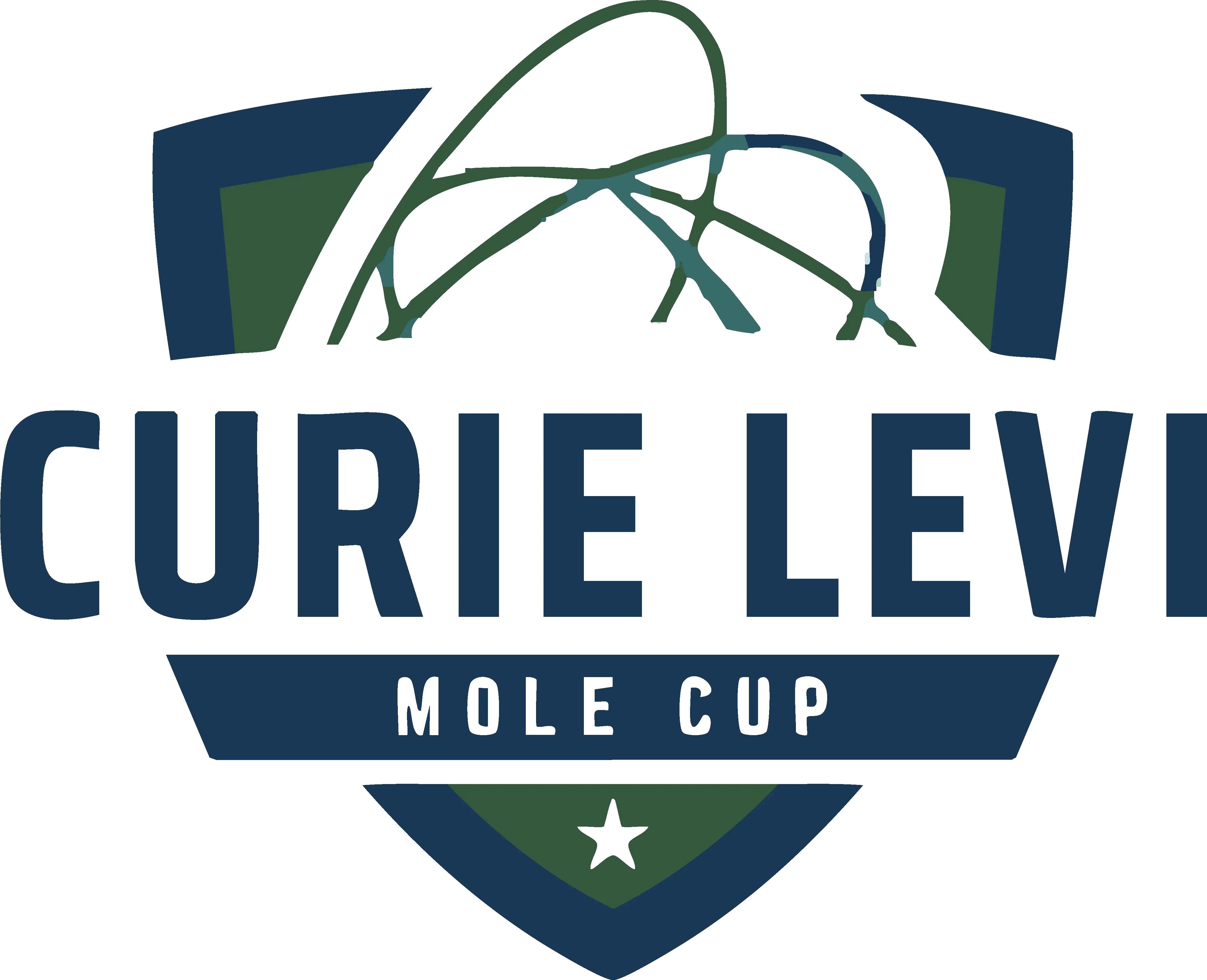 Curie-Levi